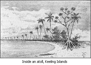 Image result for tahiti when charles darwin went