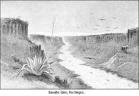 Basaltic Glen, Rio Negro.