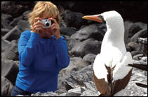 Galapagos Cruise - Coral I/II - Centra