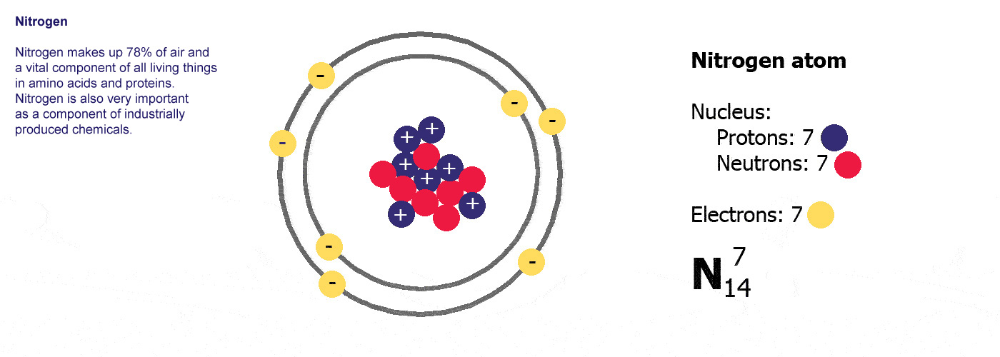 Nitrogen - 78% of air and a vital component of all living 
	things as amino acids and proteins. Nitrogen is also very important as a component 
	of industrially produced chemicals