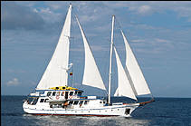 Galapagos Tours and Cruises aboard Cachalote I